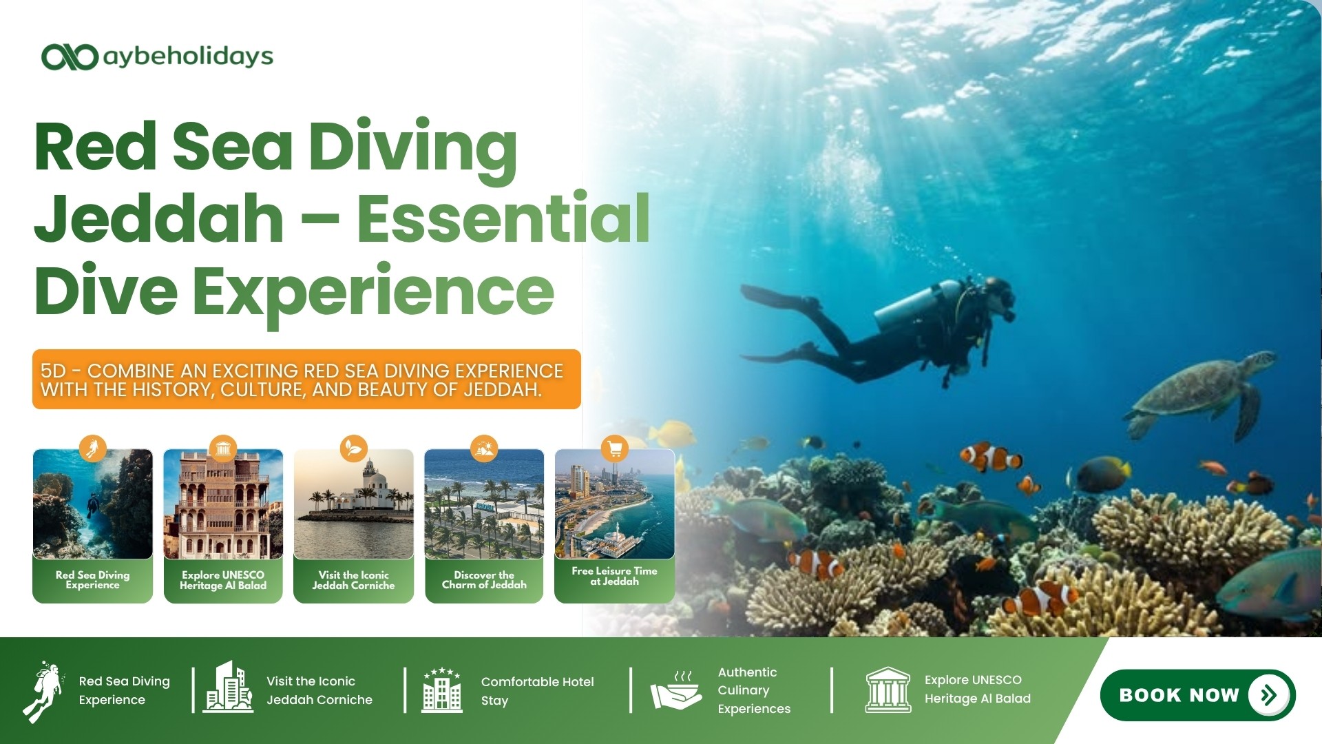 Red Sea Diving Jeddah – Essential Dive Experience