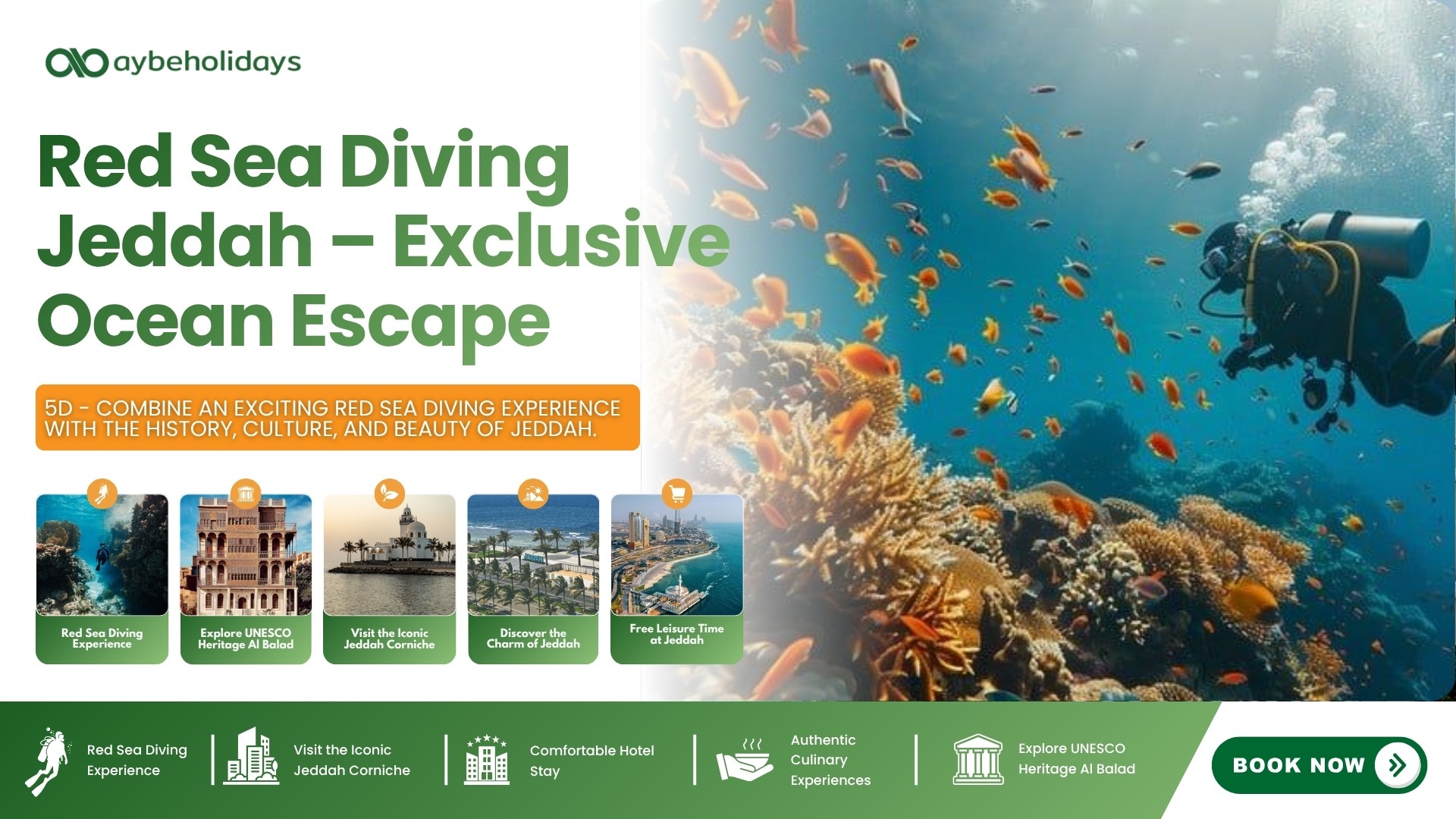 Red Sea Diving Jeddah – Exclusive Ocean Escape