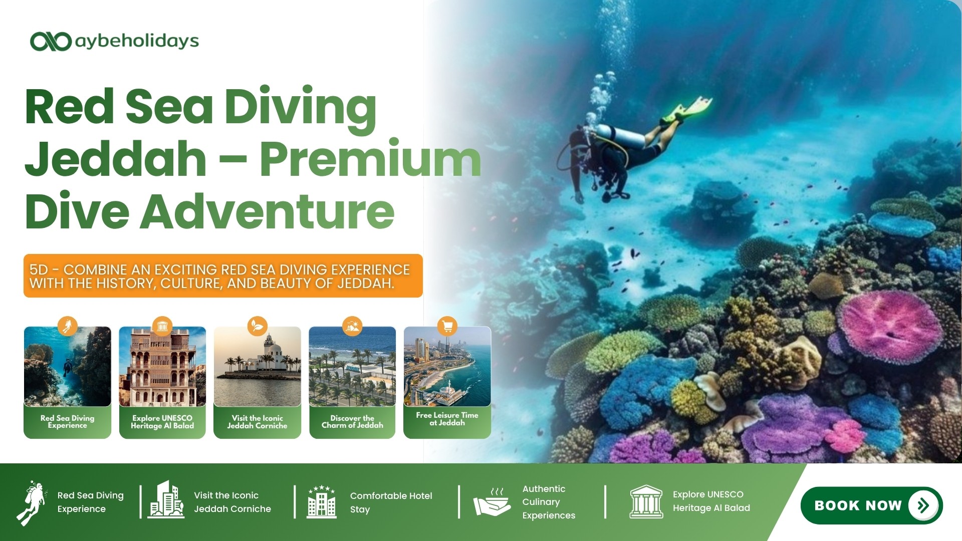 Red Sea Diving Jeddah – Premium Dive Adventure